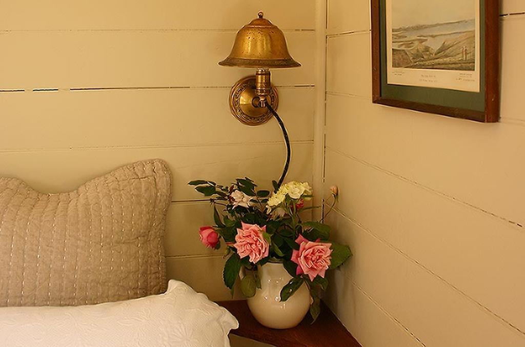 Bluff Hill Bed & Breakfast Napier Exteriör bild